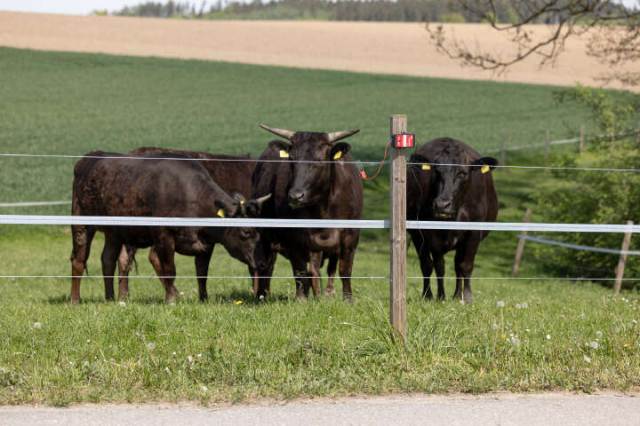 AKO Smart Satellite Zaun- und Batterieprüfer